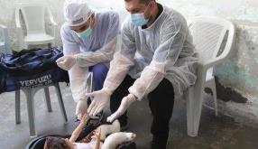 Covid-19 Salgınında Gazze’ye Evde Sağlık Hizmeti Desteği