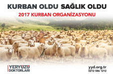 2017 Kurban Raporu
