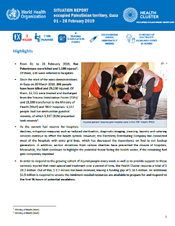 World Health Organization (WHO) Situation Report Gaza