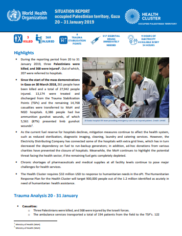 World Health Organization (WHO) Situation Report Gaza