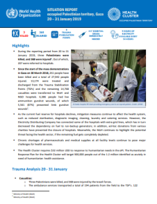 Dünya Sağlık Örgütü (WHO) Gazze Durum Raporu