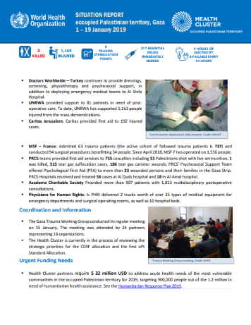  World Health Organization (WHO) Situation Report Gaza