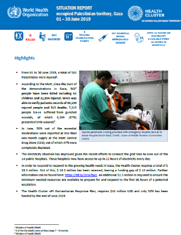 World Health Organization (WHO) Situation Report Gaza