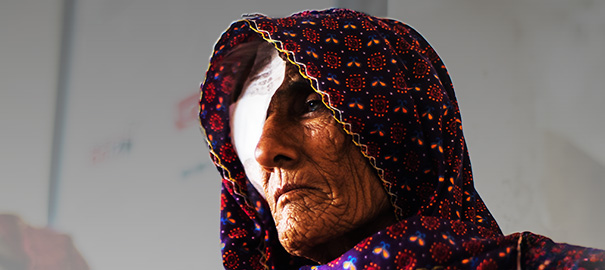 Bir Bağış Bir Bakış